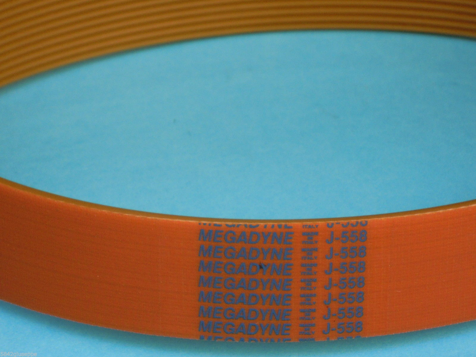 Ricambi 7: CINGHIA MEGADYNE J-558 CINGHIA AFFETTATRICE 13 NERVATURE BELT MEGADYNE CINGHIA_MEGADYNE J-558_13_NERVATURE.JPG